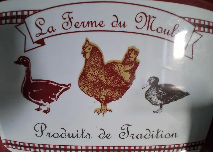 La Ferme Du Moulin * Montaigu-Vendee